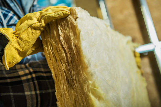 Best Cellulose Insulation in Queen City, TX